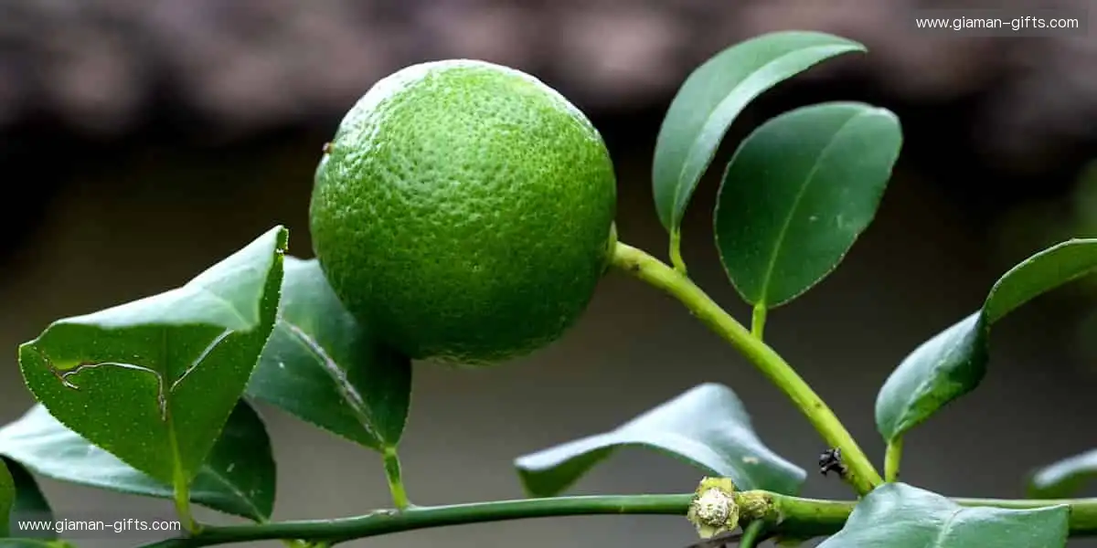 🏆激情赛事,一键点燃你的热血!